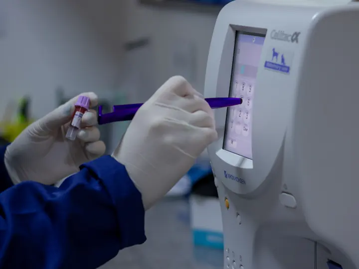 Amostra de sangue sendo colocada no analisador do laboratório próprio do hospital