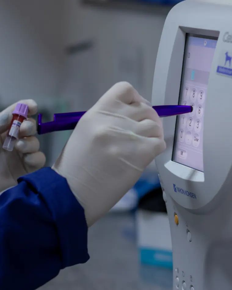 Amostra de sangue sendo colocada no analisador do laboratório próprio do hospital