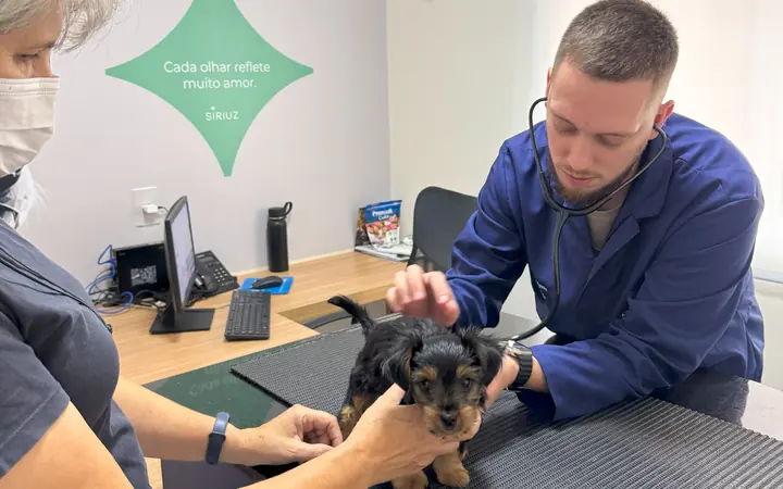 Médico veterinário examinando um filhote com o estetoscópio no consultório