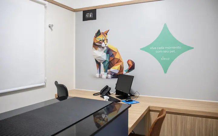 Consultório do Siriuz com mesa, computador e mural de gato na parede